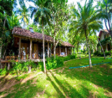 Palm Paradise Cabanas